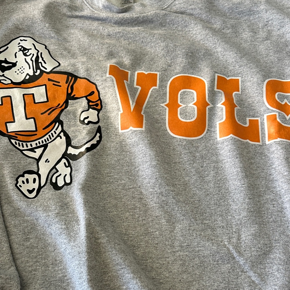 Gray VOLS Sweatshirt - Picture 3 of 4